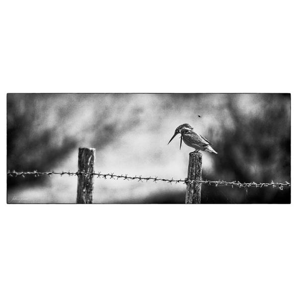 PHOTO84, CLUB, 84 , LUBERON